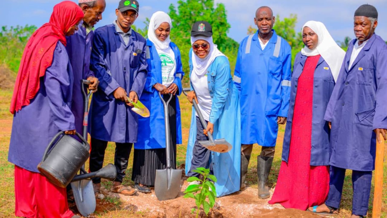 Upanzi wa Miti – Mazingira Bora